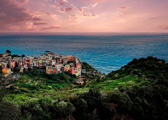 Corniglia photo