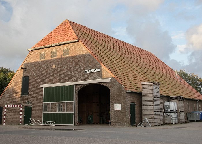 De Cocksdorp (Texel) photo