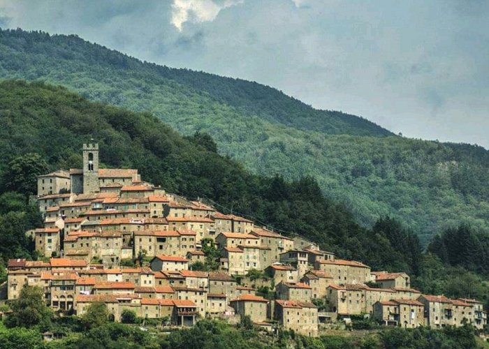 Pescia photo