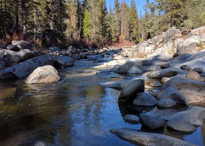 Shaver Lake photo