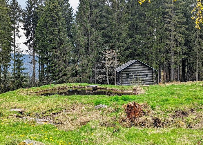 Hinterzarten photo