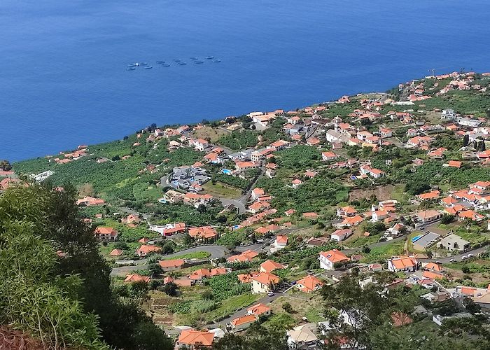 Arco da Calheta (Madeira) photo