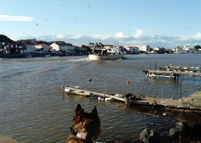 Le Grau-d'Agde photo