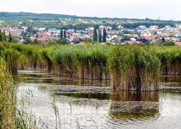 Moerbisch Am See photo