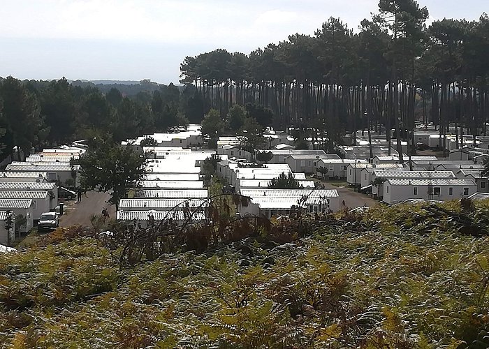 Saint-Julien-en-Born photo