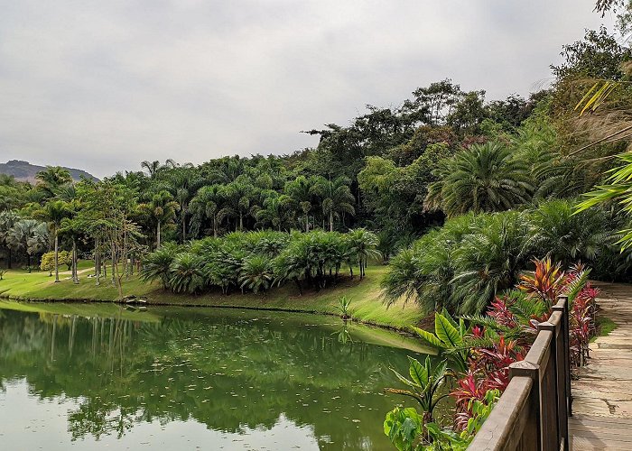 Brumadinho photo