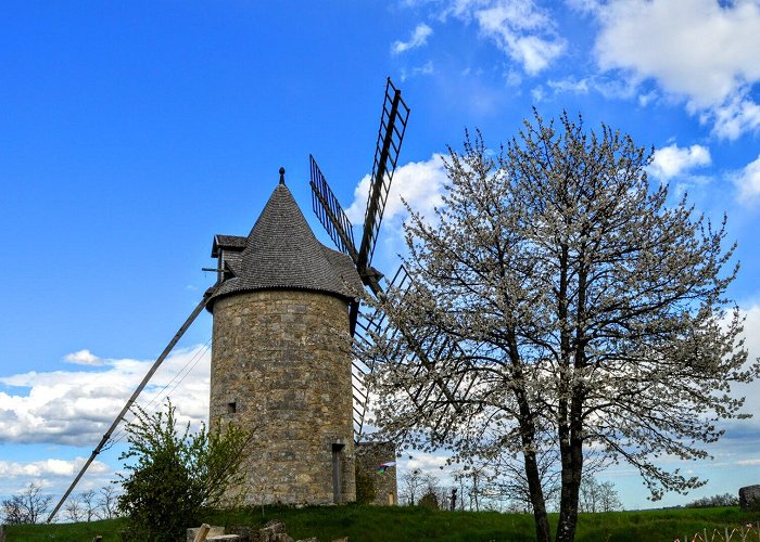 Montagne (Gironde) photo