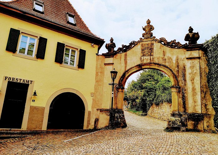 Gundelsheim (Baden-Wurttemberg) photo