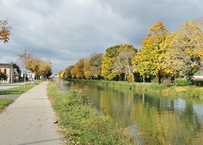 Grisolles (Tarn-et-Garonne) photo