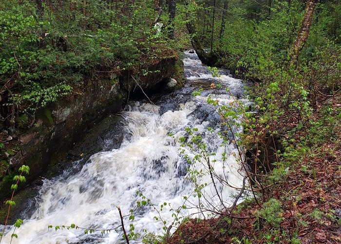 Petit-Saguenay photo