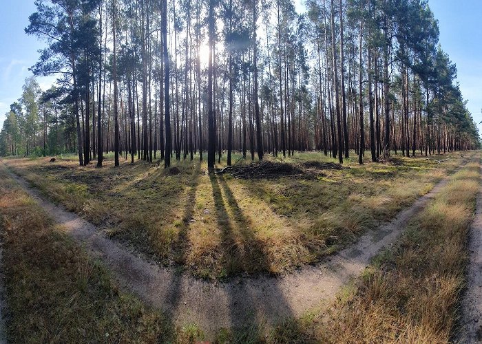 Borkheide photo