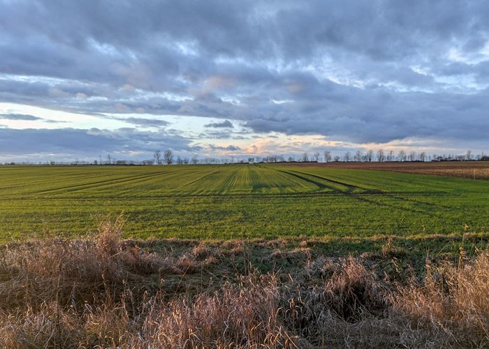 Wanzleben-Borde photo