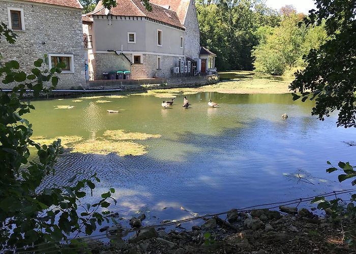 Varennes-Jarcy photo