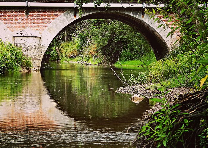 Neung-sur-Beuvron photo