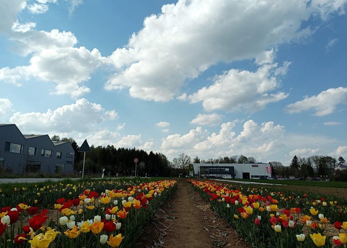 Hohenkirchen-Siegertsbrunn photo