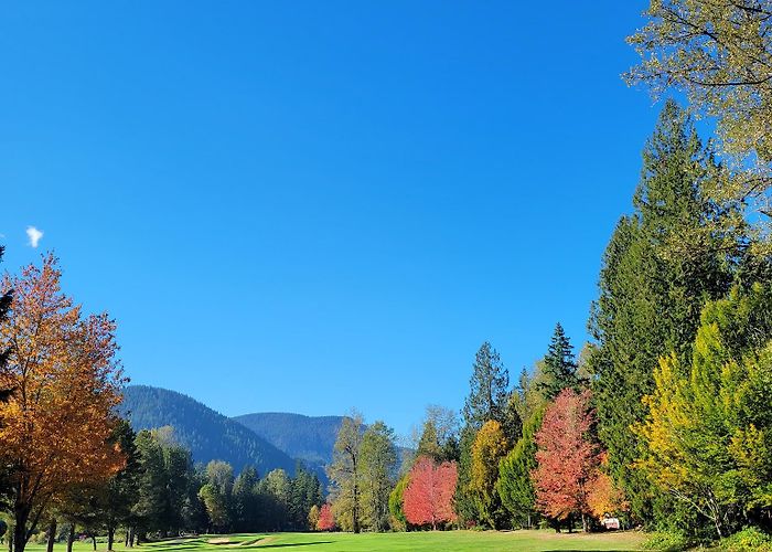 Mount Hood Village photo