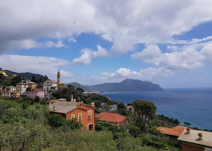 Pieve Ligure photo