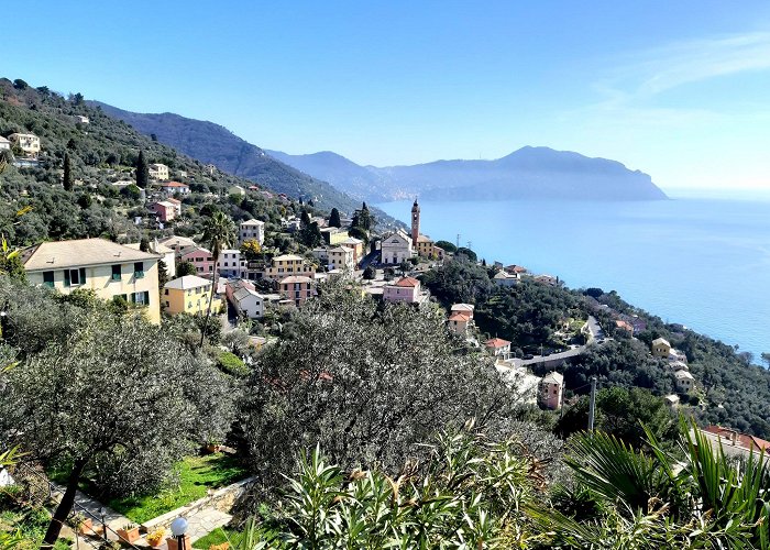 Pieve Ligure photo