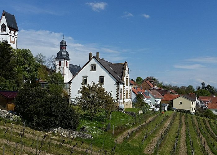 Zellertal photo