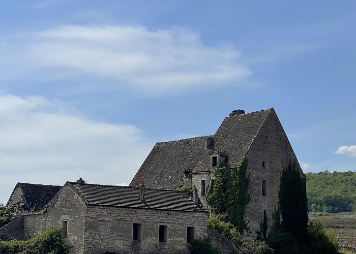 Chassagne-Montrachet photo