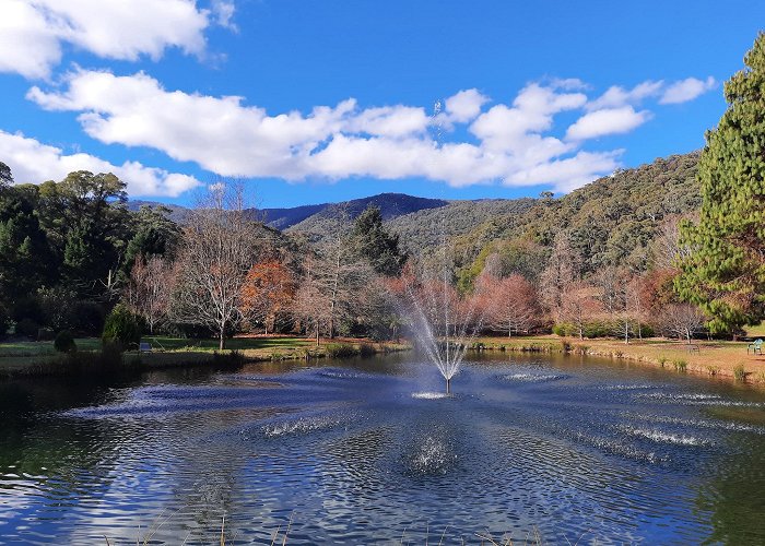 Harrietville photo