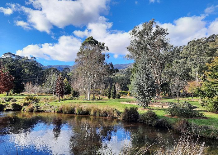 Harrietville photo