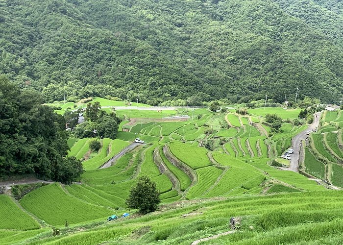 Shodoshima photo