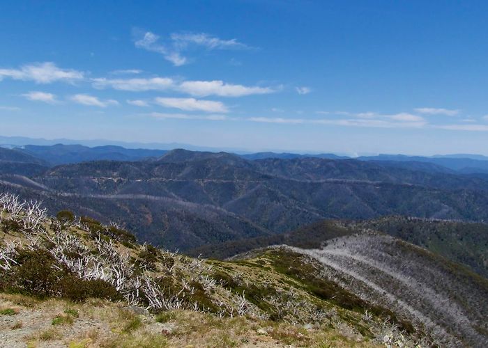 Mount Hotham photo