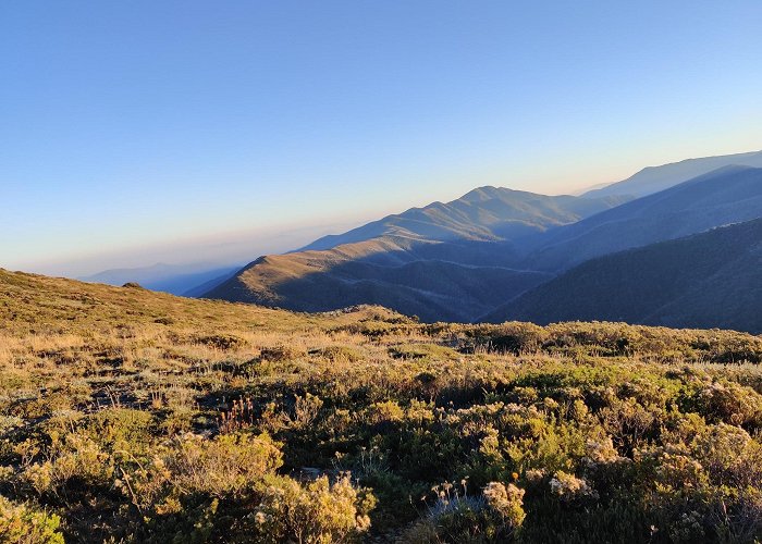 Mount Hotham photo