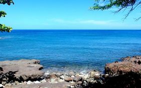 Paradise Bay Deshaies Exterior photo