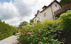 Hotel Penzion Onyx à Český Krumlov Exterior photo