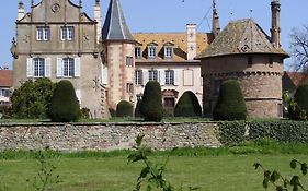 Hotel Le Château D'Osthoffen Exterior photo