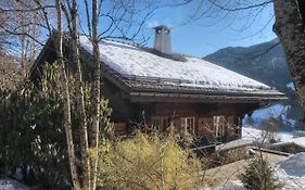 Villa Les Jumelles à Gstaad Exterior photo