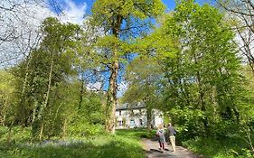 Maison d'hôtes Blackhill Woods Retreat à Abbeyleix Exterior photo
