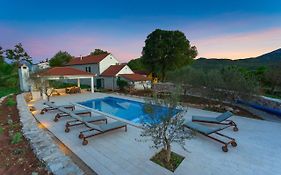 Holiday Home Vera ,Private Salt Water Pool & Jacuzzi Blato na Cetini Exterior photo