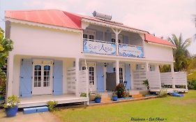 Villa Sur L'Anse à Terre-De-Haut Exterior photo