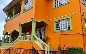 Bed and Breakfast Mountain Palace à Port of Spain Exterior photo