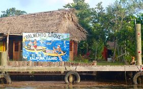 Bed and Breakfast Palmento Grove Garifuna Eco-Cultural & Healing Institute à Hopkins Exterior photo