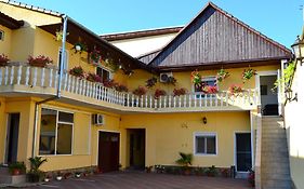 Hotel Pensiunea Alexander à Arad Exterior photo