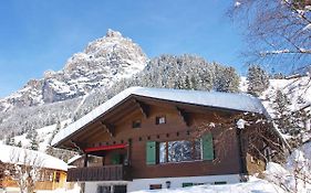 Holiday Home Chalet Marietta By Interhome Kandersteg Exterior photo