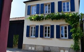 Hotel Gaestehaus & Weingut Gehrig à Weisenheim am Sand Exterior photo