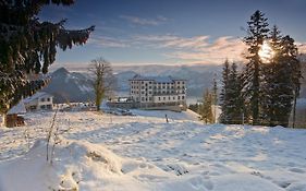 Hotel Villa Honegg Ennetburgen Exterior photo