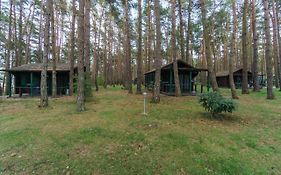 Hôtel Urlaub Im Bungalow Mitten Im Wald à Lutow Exterior photo