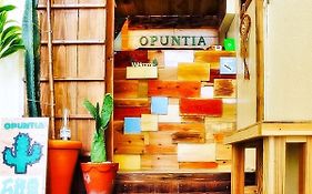 Guesthouse Opuntia Ishigaki  Exterior photo