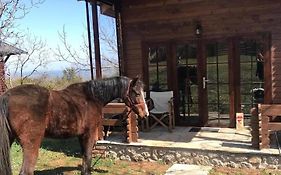 Hôtel Olympus Horse Riding Club Wooden Horse House Nafar à Litochoro Exterior photo