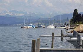 Hotel Alex Lake Zurich à Thalwil Exterior photo