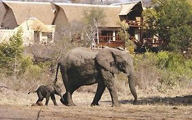 Elephant Plains Game Lodge Réserve de gibier de Sabi Sabi Exterior photo