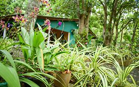 Palitha Homestay Sigirîya Exterior photo