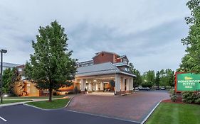 Homewood Suites By Hilton Albany Exterior photo