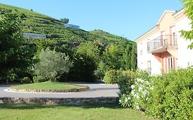 Hôtel Le Domaine des Vignes Ampuis Lyon Sud Vienne Exterior photo